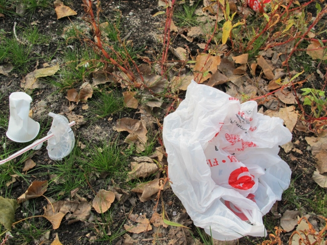 捨てられたプラスチックゴミ